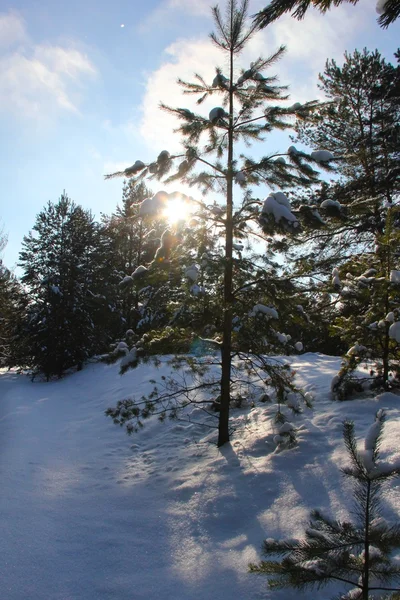 Byn i vinter — Stockfoto