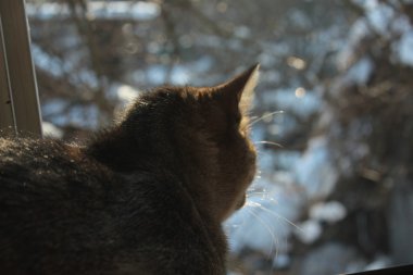 Doğa değişik şekillerde