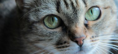 Doğa değişik şekillerde