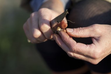 Doğa değişik şekillerde