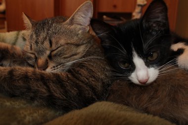 Doğa değişik şekillerde