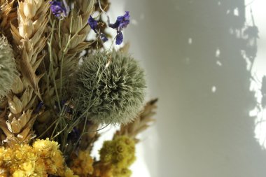 Doğa değişik şekillerde