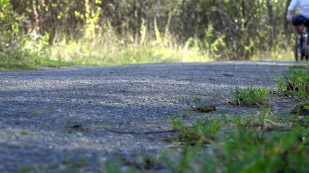 Cycliste roulant lentement le long de la route graveleuse-sablonneuse parmi la végétation verte de la zone forestière — Video