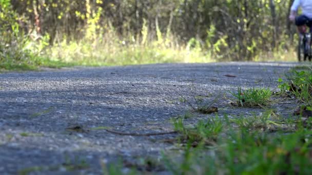 Велосипедист повільно їде по гравійно-піщаній дорозі серед зеленої рослинності лісової зони — стокове відео