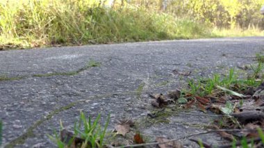 bisikletçi bir kırmızı iki tekerlekli bisiklet Dağları ile yol ve yolculuk yolunu izler