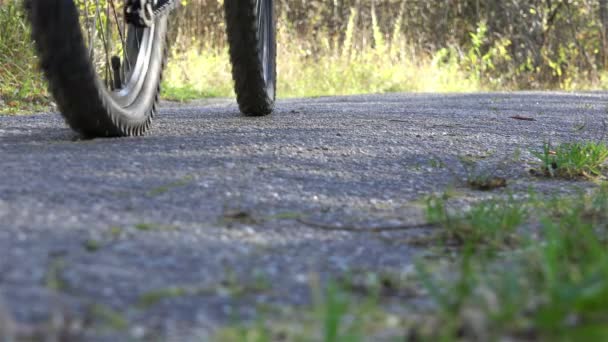 男自転車のペダルをゆっくりと踏まれた道を行く — ストック動画