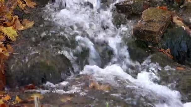 Voda teče z kopce, čištění a broušení kamenů v laskání slunce, které padlých Javorové listy — Stock video