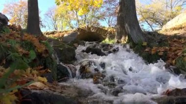 tuğla kemer kümesi aracılığıyla kayalar ve çim su akışı yamacında gider bahar mevsimi ve sarı ağaçlar