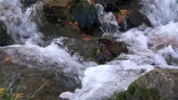 Agua clara hirviendo vivo del río golpeando contra las rocas creando burbujas y burbujeando y gorgoteando aullido — Vídeos de Stock