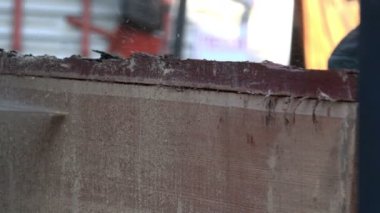 Dilme makinesi kereste keser ve kereste fabrikası büyük bir gemide işler