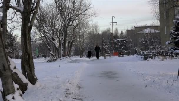 ロシア、カムチャツカ州、Milkovskii 地区、Milkovo、トムスク通りの村 — ストック動画
