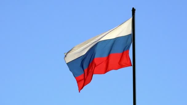 Bandera tricolor de Rusia unida al asta de la bandera y ondeando en el viento — Vídeo de stock