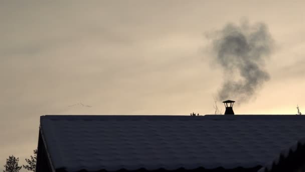 Birds flying in the sunset of the winter night and the smoke from the chimney on the snow-covered roof of a house — Stock Video