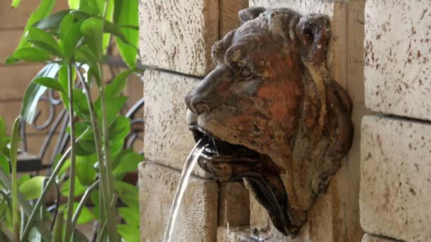 De sculptuur op de fontein muur stenen leeuwen hoofd die loopt vanaf de mond schoon water — Stockvideo