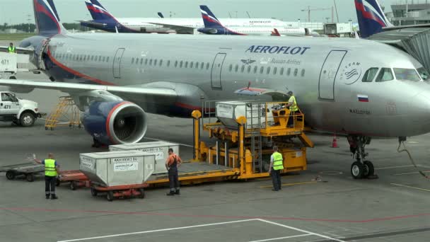 Moskova Sheremetyevo Havaalanı, Rusya - 25 Haziran 2016: Havaalanı çalışanları Aeroflot uçağında bagajları olan konteynerleri kaldırıyor — Stok video