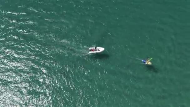 Sauveteur sur un bateau assure une planche à voile — Video