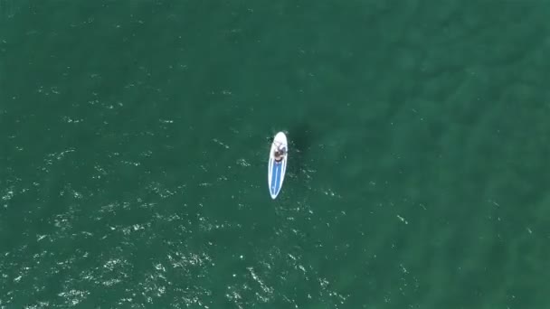 Een surfer meisje zwemt door de kristalheldere zee — Stockvideo