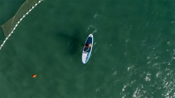 Surfare sitter på en bräda, flyter på havet och paddlar — Stockvideo