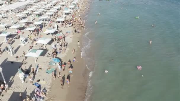 Viele Menschen entspannen sich an einem sonnigen Tag am Strand — Stockvideo