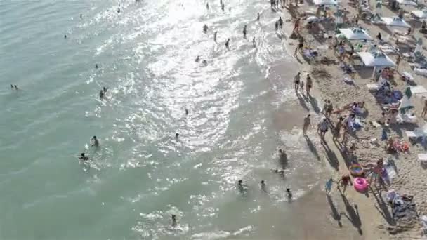 Many children swim in the coastal part of the sea — Vídeo de stock