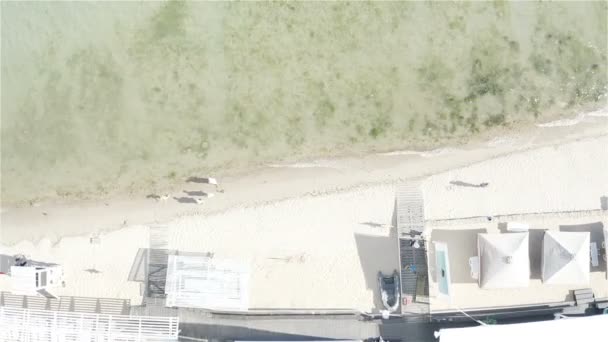 有清澈的海水和海藻的海滨 — 图库视频影像