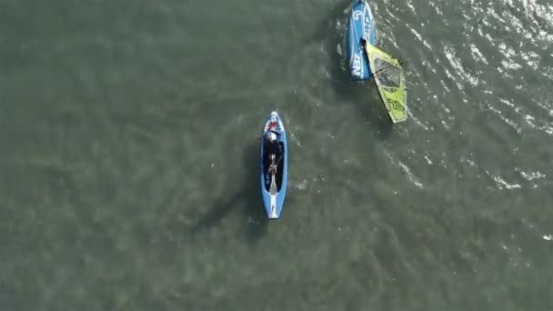 ชายคนหนึ่งพายเรือบนทะเลพร้อมไม้พาย ขณะที่นั่งบนกระดานโต้คลื่น — วีดีโอสต็อก
