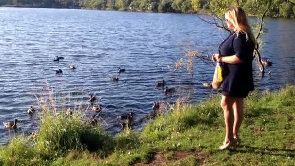 Kobieta na skraju stawu karmienie kaczek pływających — Wideo stockowe