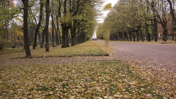 Падающие листья на фоне гуляющих по парку людей — стоковое видео