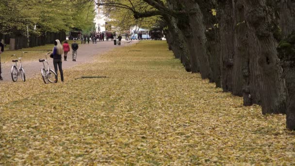 Pavlovsk město, Rusko-11. října 2014, mladý pár kol přes podzimní park — Stock video