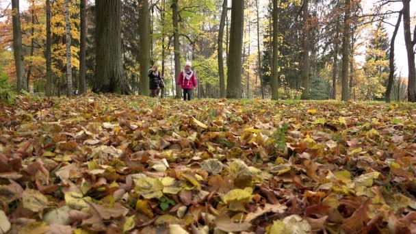 Moeder en dochter terug van een wandeling in het bos — Stockvideo