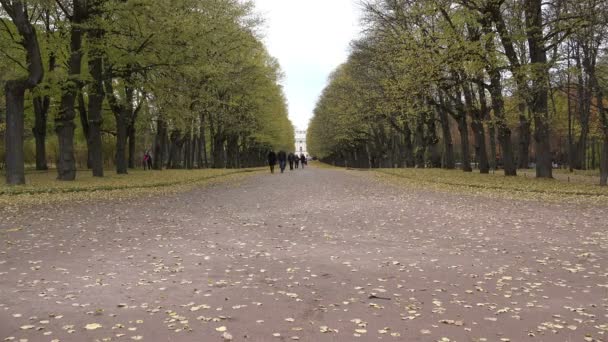 圣彼得堡，俄罗斯 10 月 11，巴甫洛夫斯克市 2014 年，人们走在公园巷 — 图库视频影像