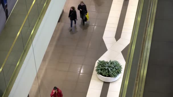 ST PETERSBURG, RUSIA-25 de octubre de 2014, centro comercial Galería, el movimiento de personas para el comercio y los complejos de entretenimiento — Vídeos de Stock