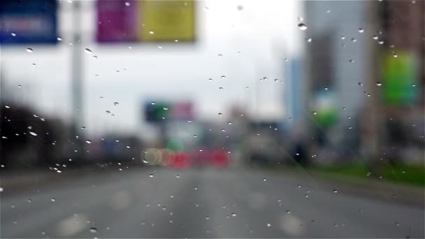 Araba yolun üzerinde bir trafik ışığı olduğunu — Stok video