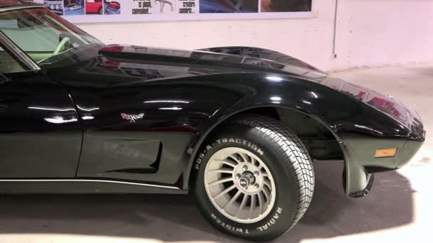 SAINT-PETERSBURG, RUSSIA-10 Januari 2015 Pameran mobil vintage Amerika ^ "Muscle Car Show" The legendaris retro car Chevrolet Corvette Stingray C3 1978 release — Stok Video