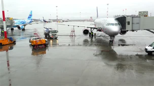 Rusland, Sint-Petersburg, Pulkovo Luchthaven, 3 maart 2015 - voorbereiding van gekwalificeerde vliegtuigen voor vlucht — Stockvideo