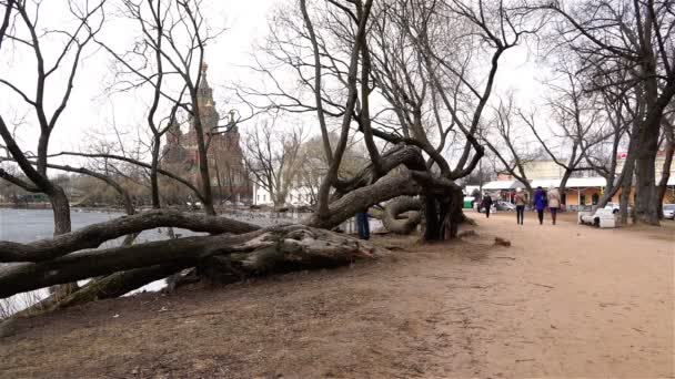 Rusia, Peterhof, 05 de abril de 2015 - Caminando por el parque de otoño a lo largo del paseo marítimo cerca de la iglesia — Vídeo de stock