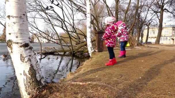 Rússia, Peterhof, 05 de abril de 2015 - Meninas da costa jogando pão para os patos nadando no lago — Vídeo de Stock