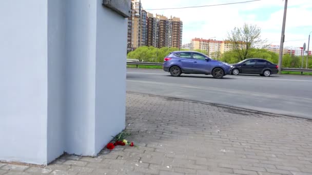 Rusko, Petrodvorec, 09 květen 2015 - ležela červené karafiáty u Památníku na vozovce — Stock video