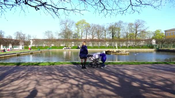 Rusia, Peterhof, 10 Mei 2015 - ibu dengan bayi dan anak dewasa berjalan menyusuri taman jalan — Stok Video