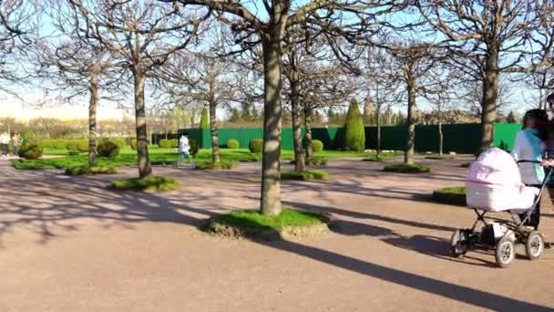 Jong koppel met een kinderwagen wandelt in het park — Stockvideo