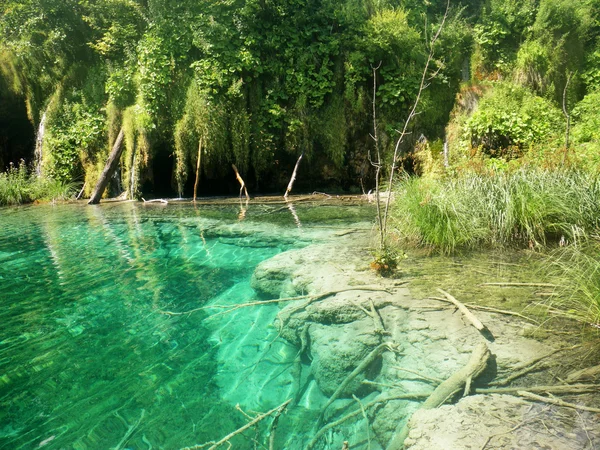 Transparent grön Plitvice Lakes — Stockfoto