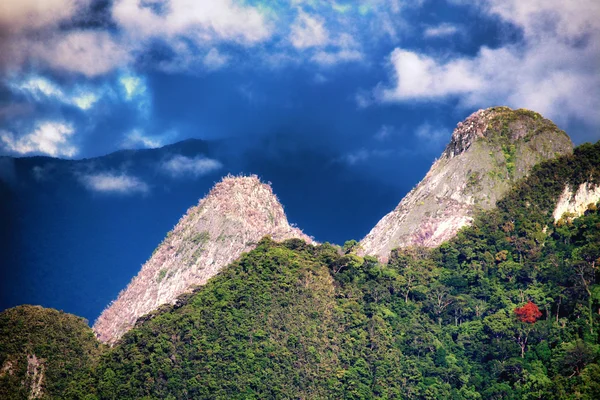 Limestone pinnacle in the wild rain forest — Stock Photo, Image