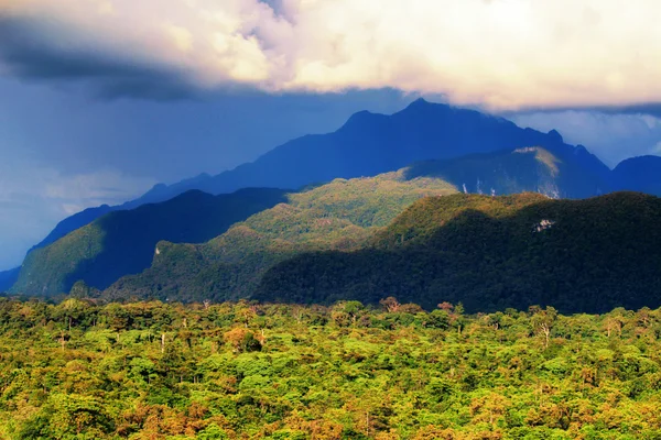 Selvagem de Gunung Mulu — Fotografia de Stock