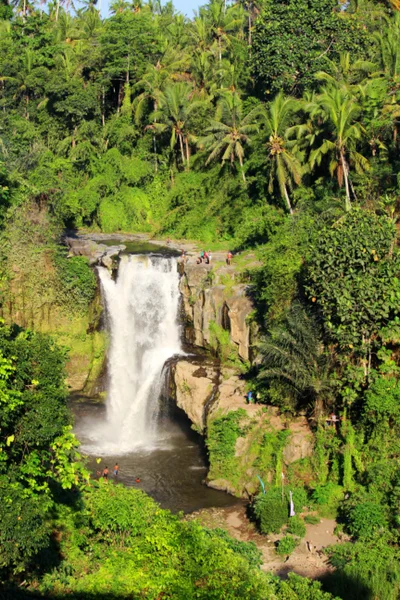 Melhor cachoeira Bali — Fotografia de Stock