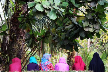 Renkli müslüman hijabs