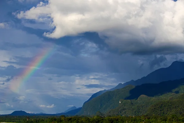 Rainbow over the wild forest Malaysia