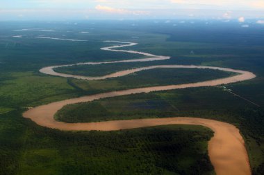 Brown muddy river Borneo clipart