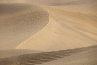 Altın şekilli çöl kumulları İspanya 'nın Gran Canaria bölgesindeki rüzgarla hareket ediyor.