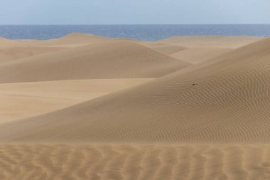 Rüzgâr, Maspaloma 'daki Atlantik Okyanusu' na bakan altın çöl kum tepelerinin şeklini değiştiriyor.