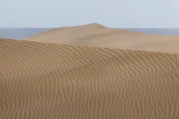 Minta Sivatagi Dűnék Felett Gran Canaria Ban Óceánnal Háttérben — Stock Fotó